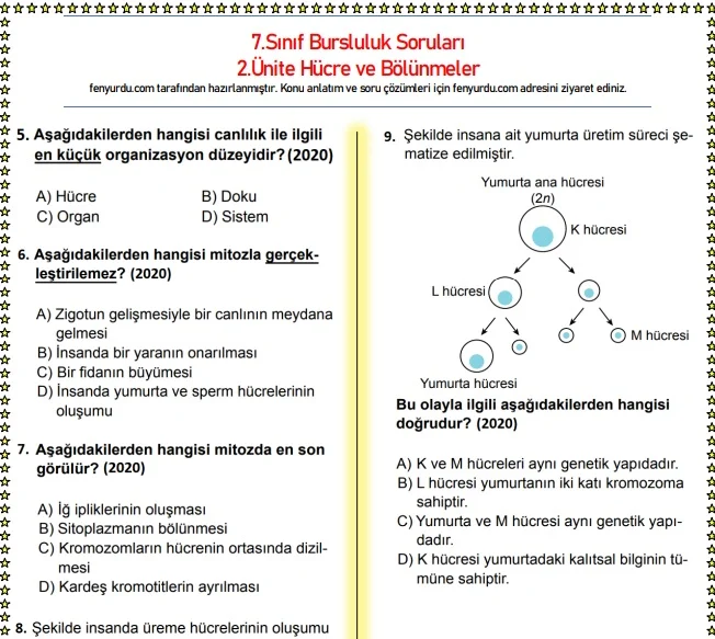 Fen Bilimleri 7.Sınıf 2.Ünite Hücre ve Bölünmeler Çıkmış Sorular