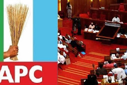 Confirmation of ministerial nominees, clear indication there's no more division within APC family - APC