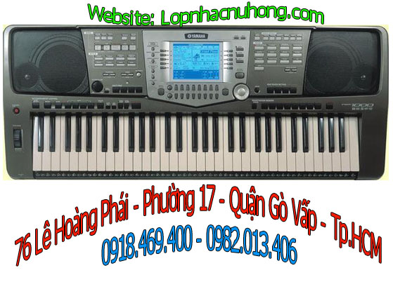 dan organ psr 1000