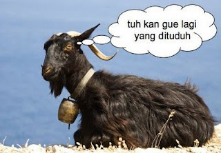 Kebo, Kambing Hitam Dan Sapi Perah [ www.BlogApaAja.com ]