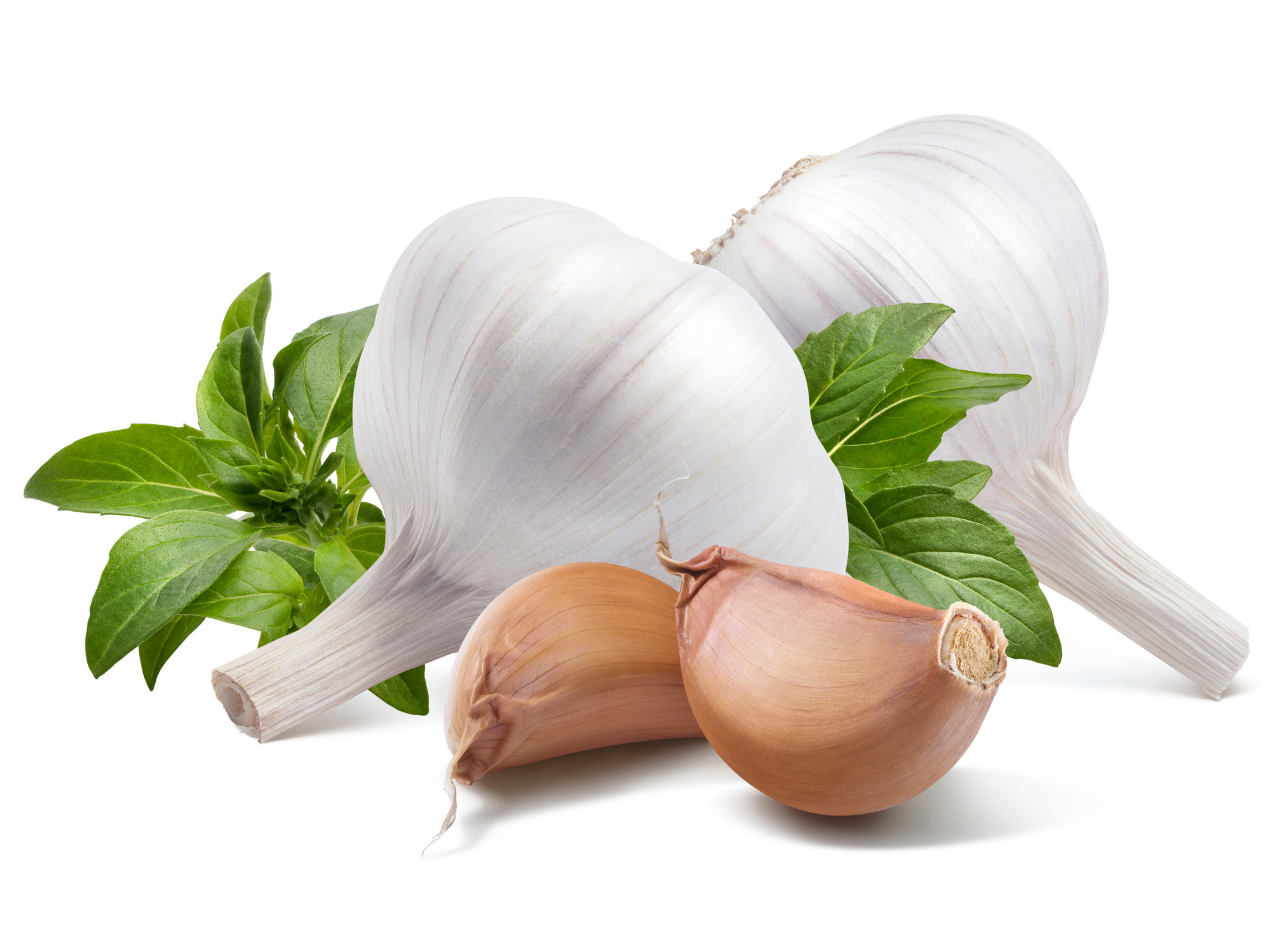 Two garlic bulbs and cloves