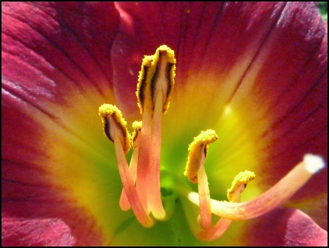P1220984