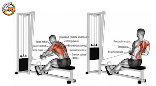 10 Best Compound Exercises for the Biceps