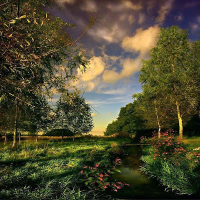 3d nature wallpaper nature wallpaper. hot nature wallpaper 3d.