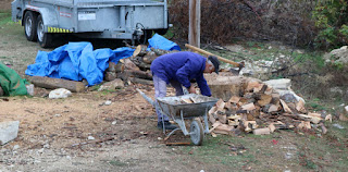 Collecting together split wood