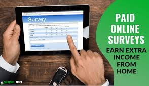 Paid Online Surveys.