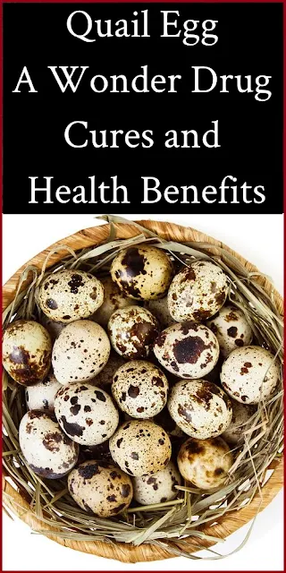 Quail Egg, A Wonder Drug – Cures and Health Benefits