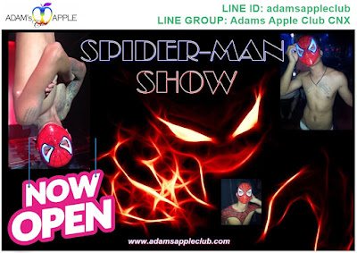 SPIDER-MAN SHOW stunning, unique, exciting … just amazing