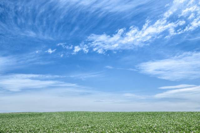 blue-sky-sky-green-earth-hokkaido