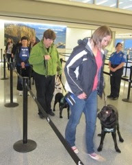 pups and raisers waiting in line