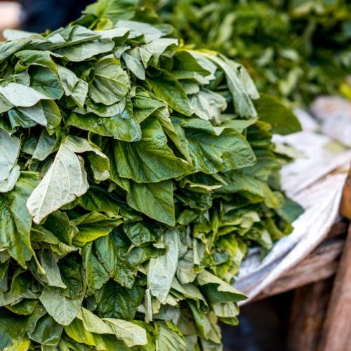 Wash the tender cocoyam leaves and tear them into pieces. If you are using pumpkin leaves, wash them and set aside
