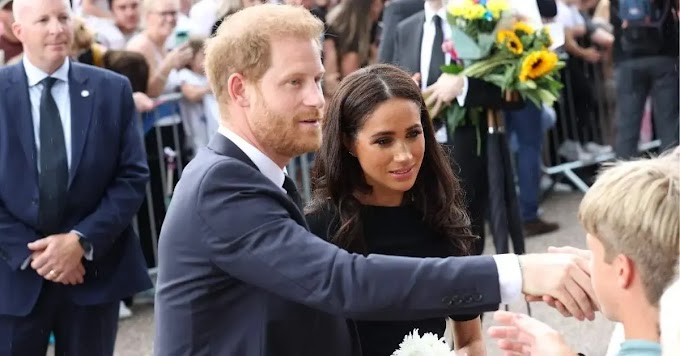 Prince Harry & Meghan Markle Had a Huge Fight Over Money After Her Pressuring Duke to Write SPARE 2