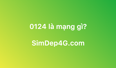 0124 là mạng gì?