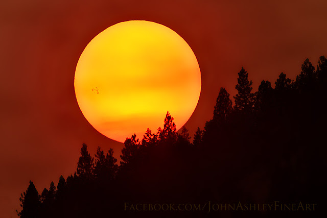 Sunspot AR 2403 (c) John Ashley