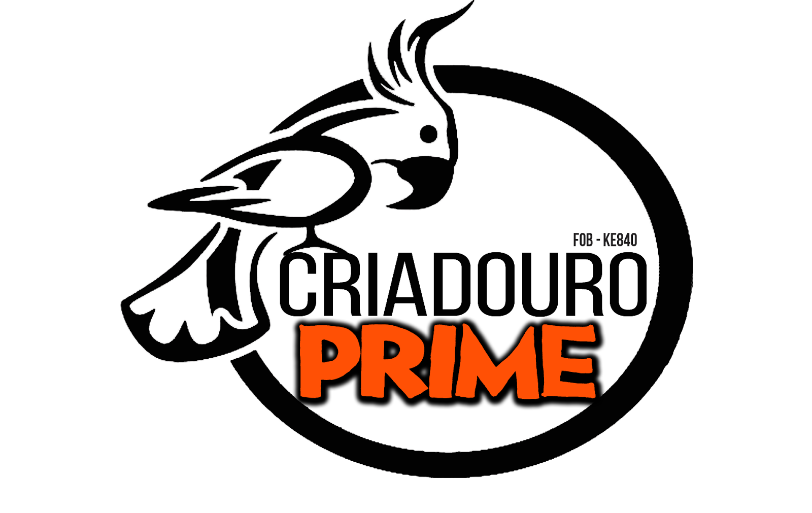 Criadouro Prime