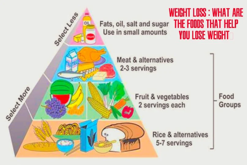 Weight loss : What are the foods that help you lose weight?