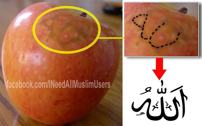 Allah Name on Fruits  Download Photos