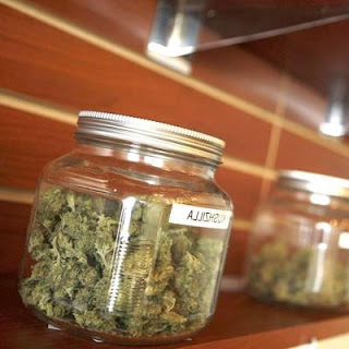 California Medical Marijuana Grow