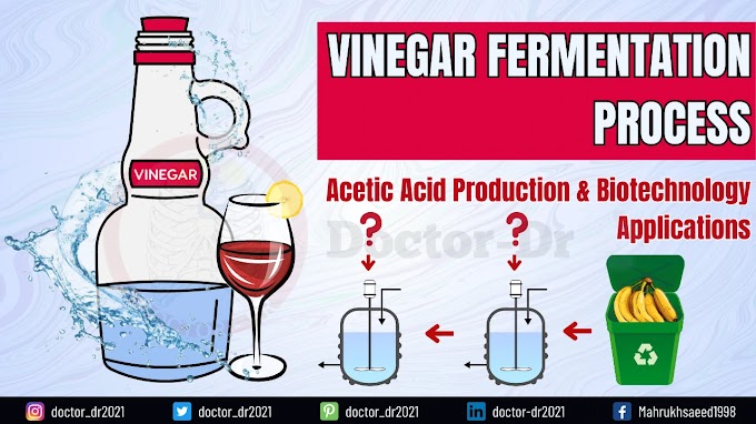 Vinegar Fermentation Process: Acetic Acid Production & Biotechnology Applications