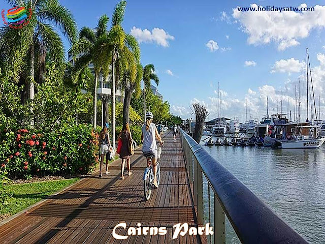 What to Do in Cairns, Australia