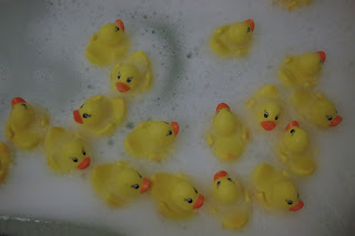 canards bain