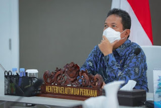 Indonesia menargetkan menjadi produsen udang vaname terbesar di dunia