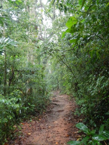 trail-2012-11-13-13-53.jpg