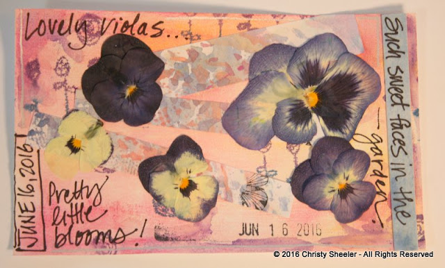 ICAD June 16, Pressed violas on a gesso, chalk and stamped background.