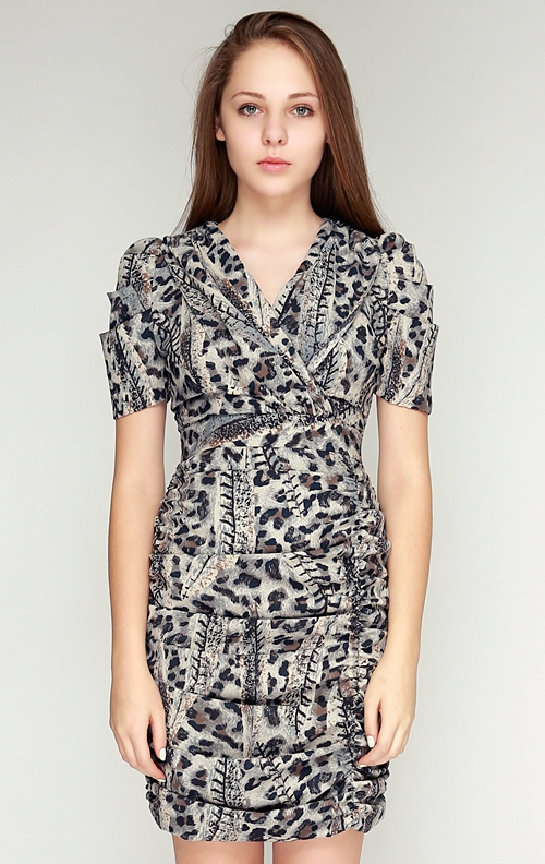 Shirred Leopard Dress