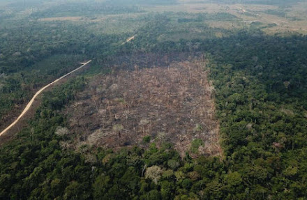 Estudo alerta que controle de desmatamento nas Unidades de Conservação da Amazônia regrediu ao menos 10 anos