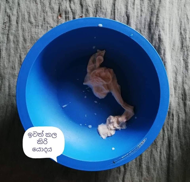 සෝයා කිරි හදමු (Soya Milk) 🥛🥛 👌 - Your Choice Way