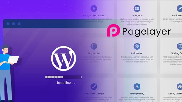 Page Layer Wordpress plugin has security flaw allows hackers to wipe your website