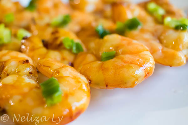 Airfryer Mandarin Shrimp Skewers