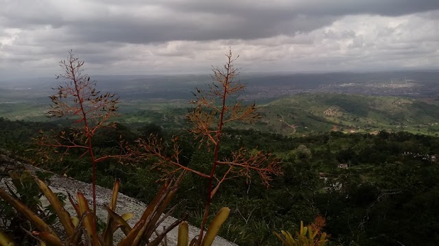 SERRA NEGRA ESTÁ DENTRO DO PLANALTO DA BORBOREMA E DA CHAPADA PERNAMBUCANA