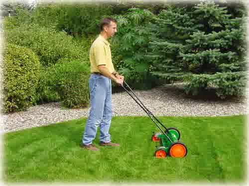 Push Lawn Mower