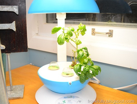 clean, fresh aerogarden