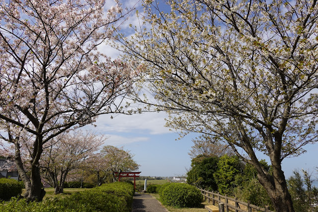 鳥取県西伯郡大山町御来屋 名和公園