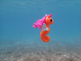 Lala-oopsie sea horse underwater