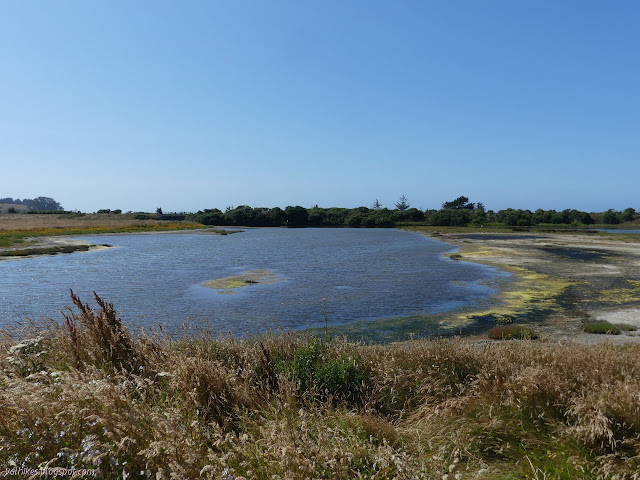 pond low on water