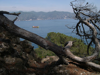 Dal faro del monte di Portofino