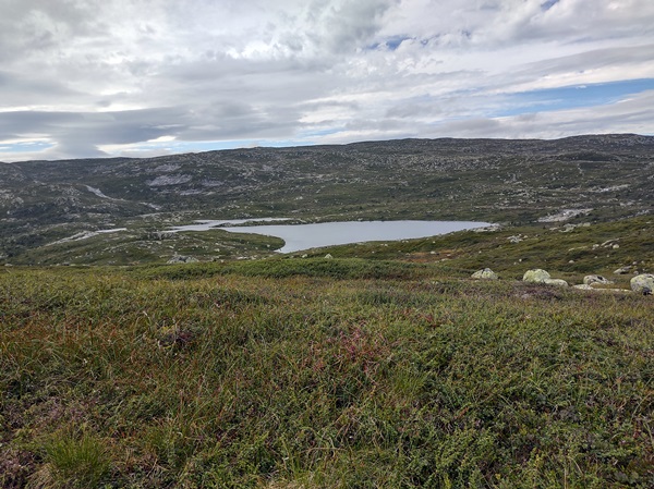 Fjellelva Prestegårdstjerna