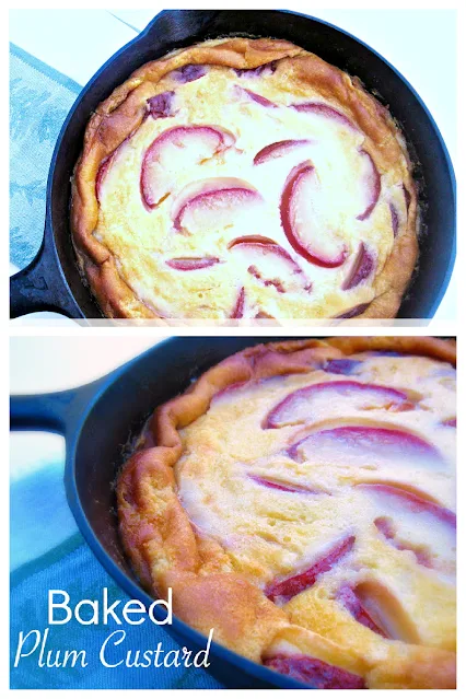 Baked Plum Custard is a dessert that can be elegant or rustic, depending on how it is baked.  I decided to go the rustic route and bake mine in a cast iron skillet.  The recipe is easy---really showcasing the plums in taste and beauty. Simple can be gorgeous!