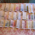 Paint chart crazy