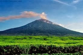www.belantaraindonesia.org