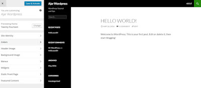 Live Preview Theme WordPress