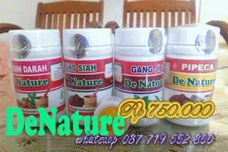 Obat Penyakit Herpes Genital Denature