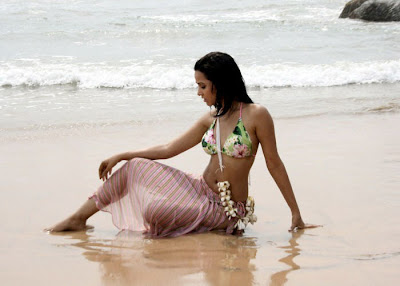 Nisha Kothari hot bikini in Adavi