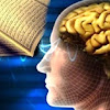 Subhaanallah.. Keajaiban Al Qur’An Sembuhkan Sel Otak Yang Rusak. Ini Penjelasannya