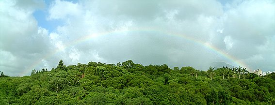 [rainbow_20080925.jpg]