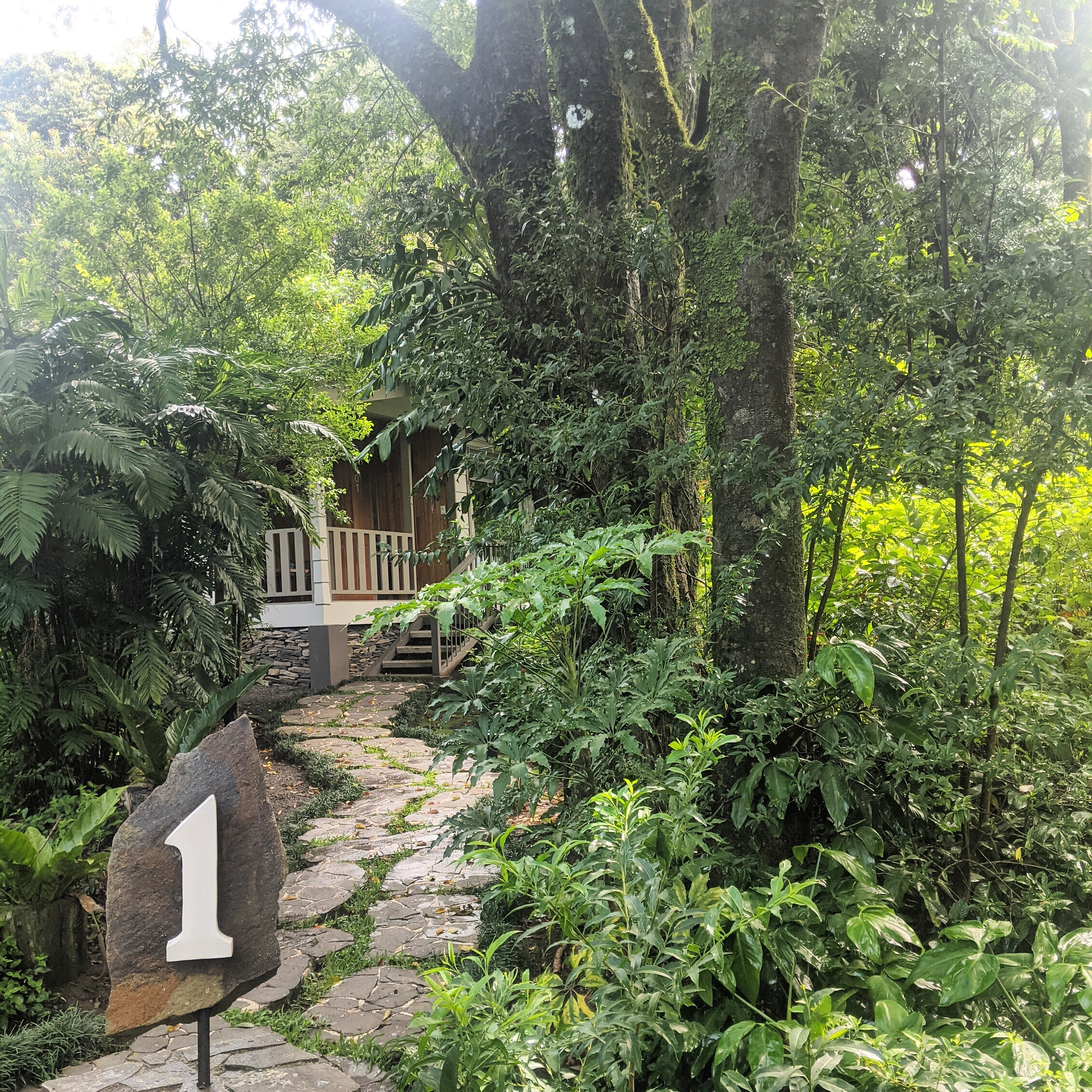 Room one at senda monteverde hotel in costa rica